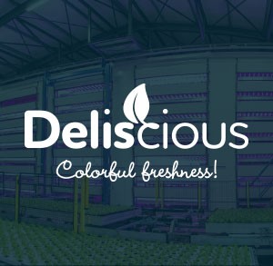 Deliscious