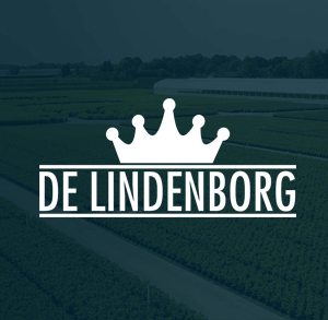 De Lindenborg